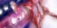 "Blood Passion" - Alan & Delilah - Buenzli 2003