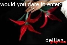 would you dare to enter?